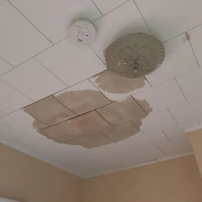 Ceiling Water Damage Repair in Fontana, WI