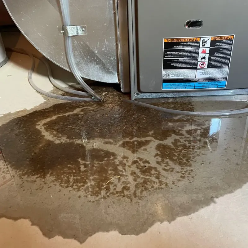 Pipe Burst and Leak Restoration in Fontana, WI